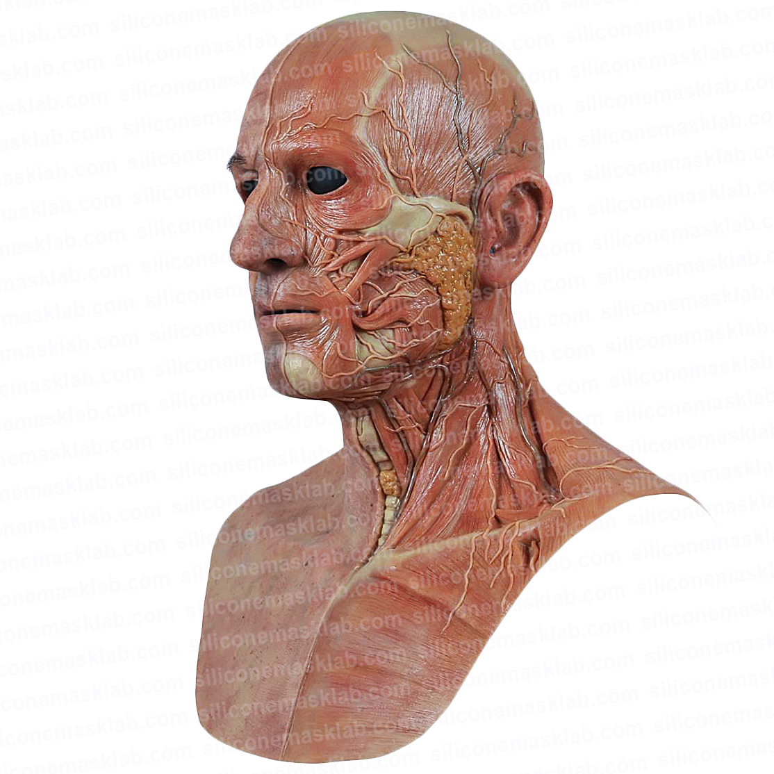 anatomical-medical-silicone-mask