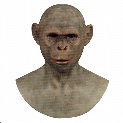 realistic chimpanzee mask