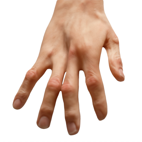 realistic woman hands veins skin texture